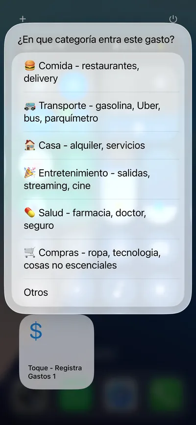Pantalla del atajo para elegir la categoría del gasto